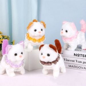Cat Toy